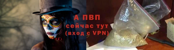 ECSTASY Богородск