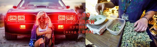 jwh Богданович