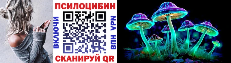 мега   даркнет сайт  Гусев  Псилоцибиновые грибы Magic Shrooms 